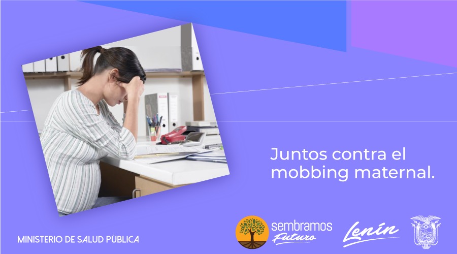 Cuarto slide Responsive image