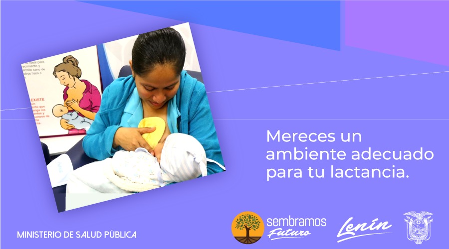 Sexto slide Responsive image